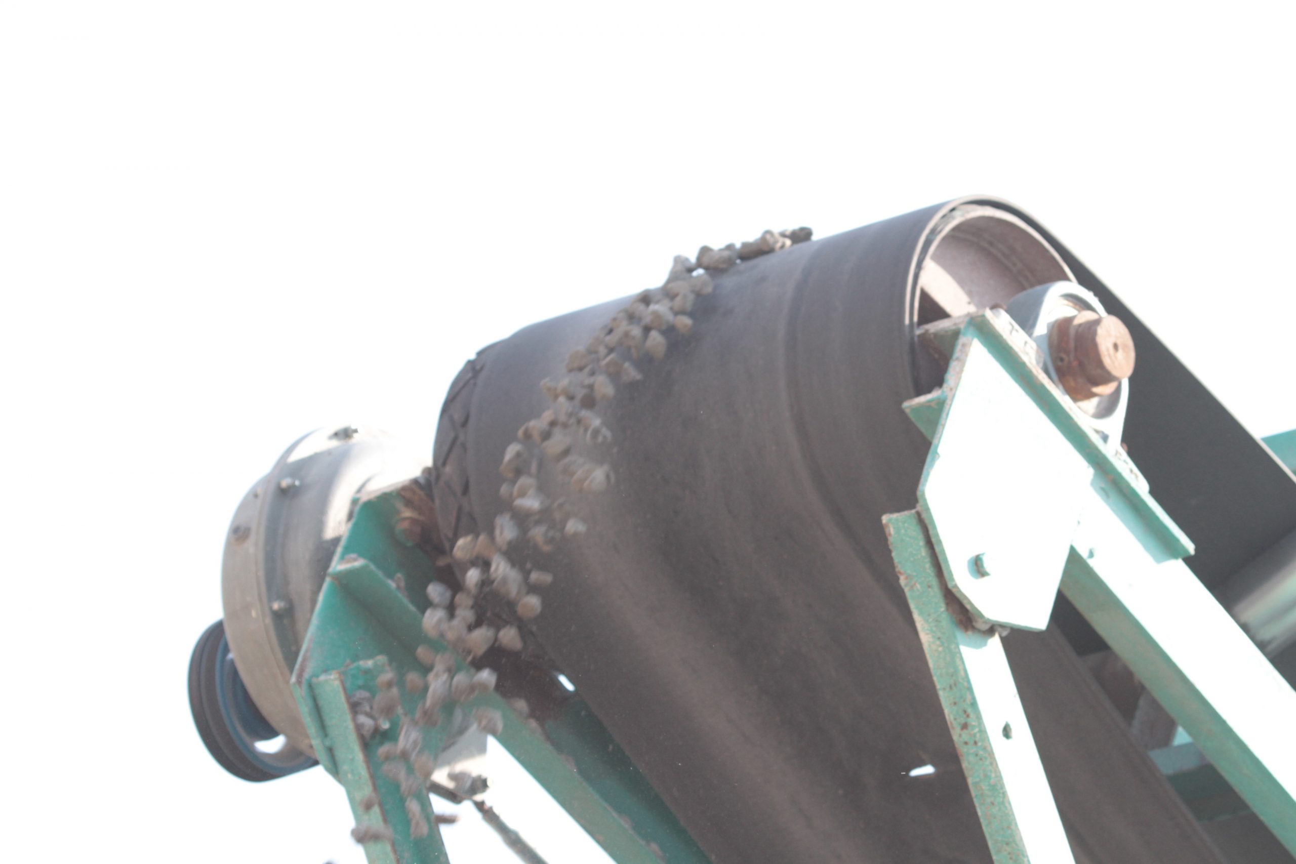 6mm Chips